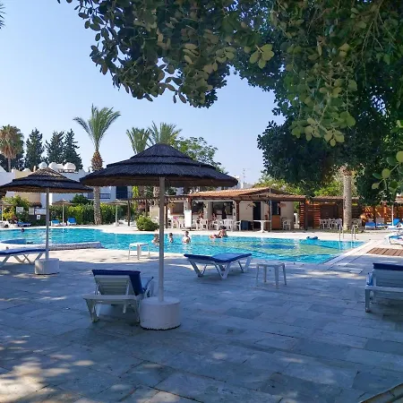 Complex House Near The