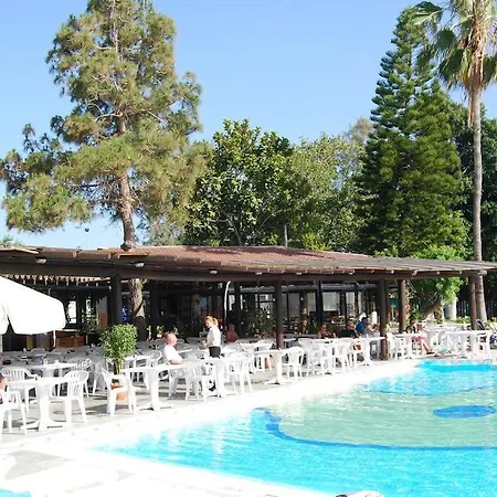 Complex House Near The *